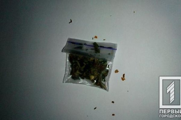 Найдется все кракен