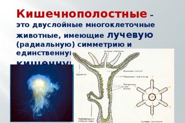 Как зарегаться в кракен