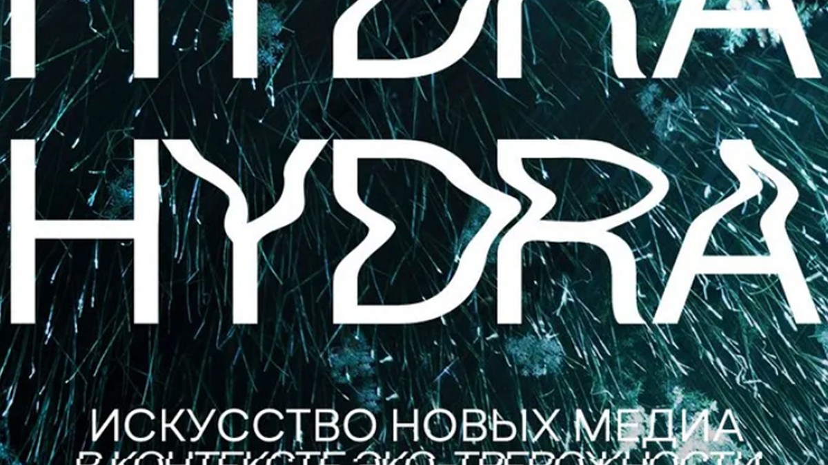 Сайт kraken darknet