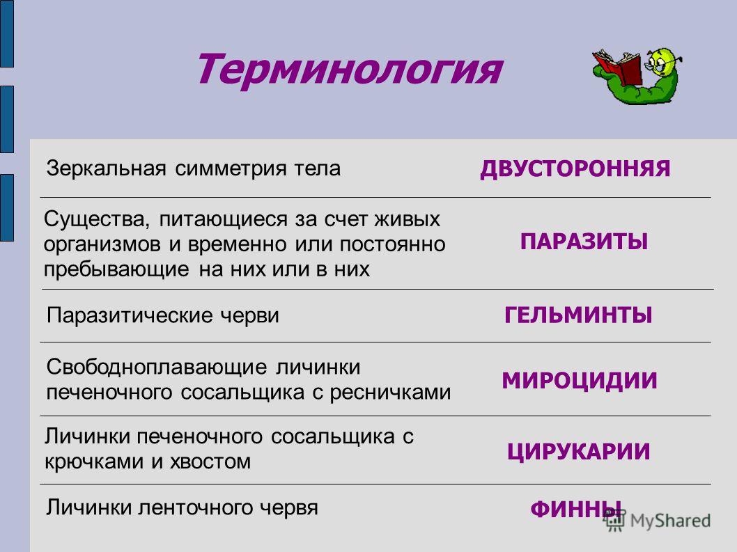 Кракен официальный сайт